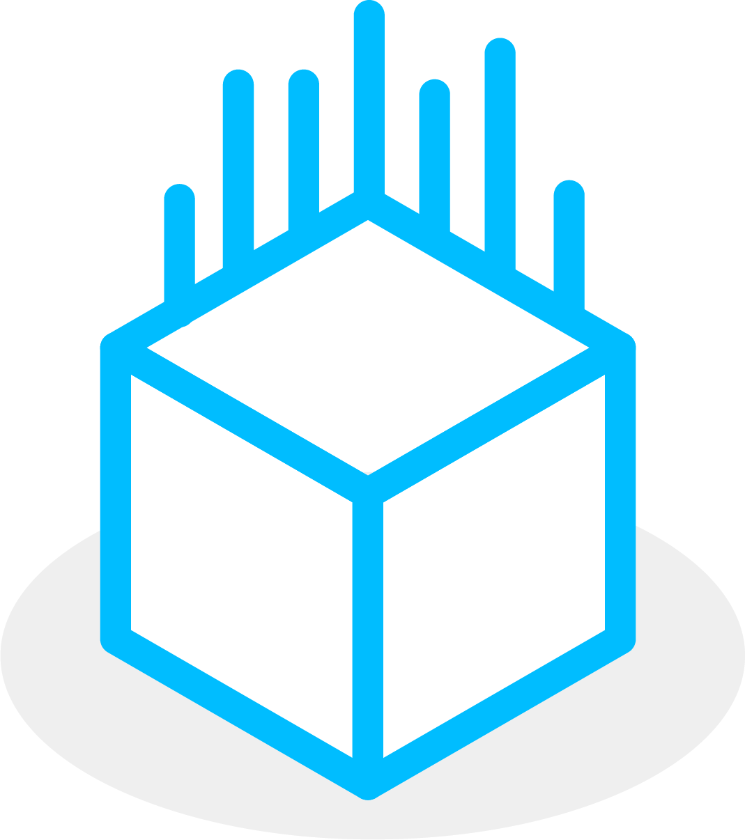 Icon 1